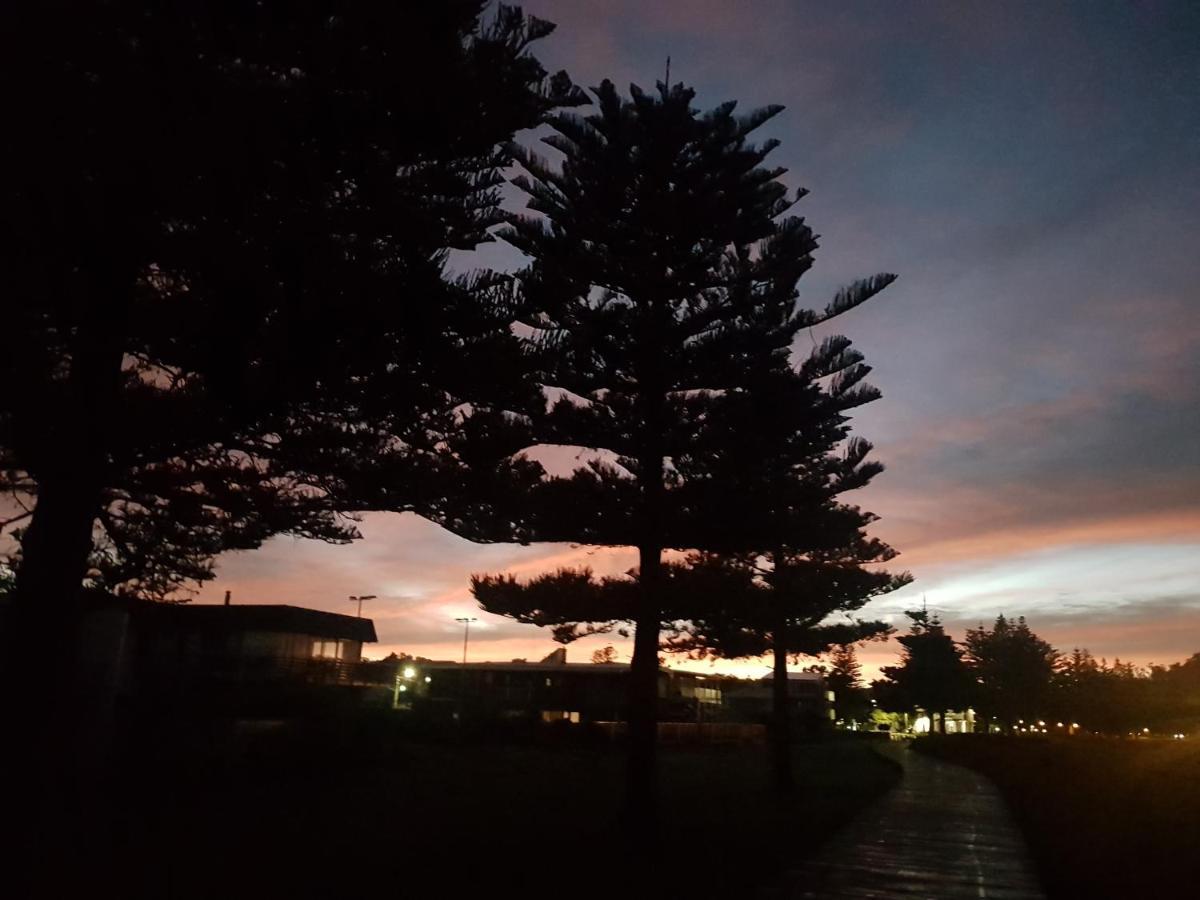 Whispering Sands Beachfront Motel ギズボーン エクステリア 写真